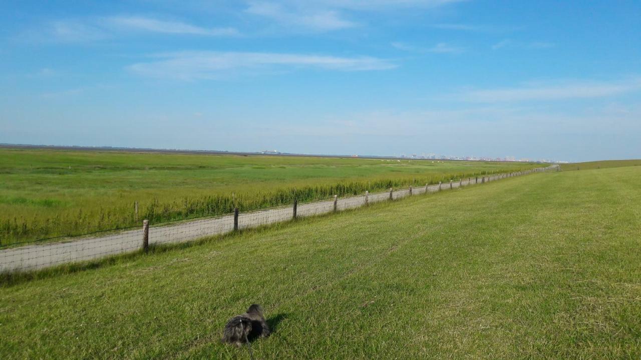Apartament Funnys Deichblick Butjadingen Zewnętrze zdjęcie